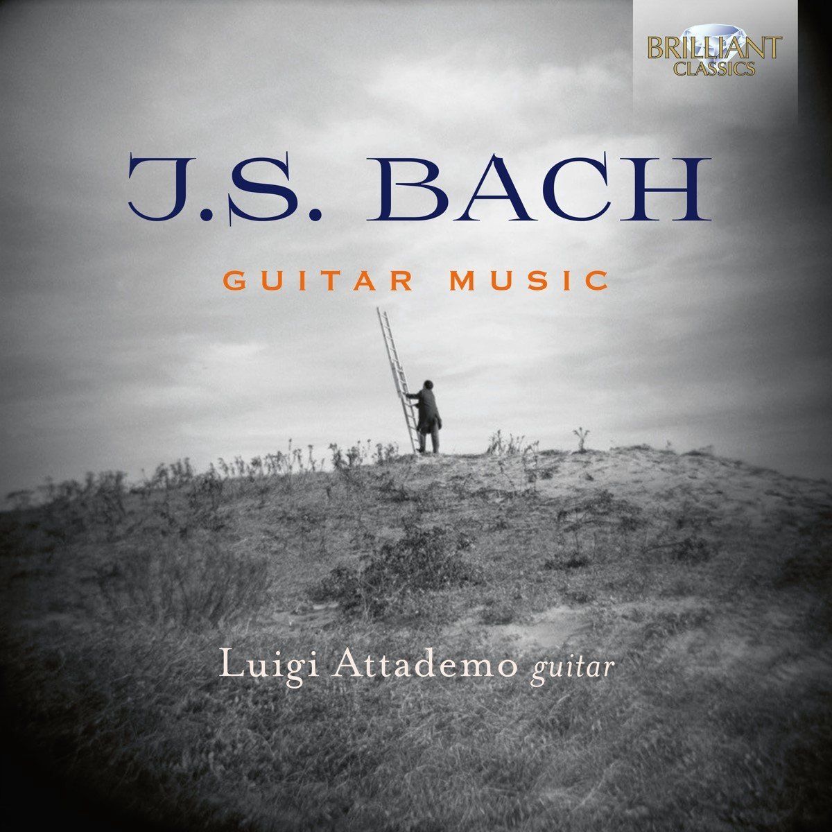 Brilliant Classics J.S. Bach: Guitar Music