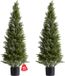 Unyqoos® Set van Twee Kunstmatige Cederbomen voor Binnen- en Buitendecoratie