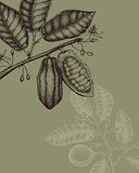 Komar Muurafbeelding Wild Cocoa 40x50cm