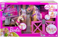 Barbie Paardenverzorging GXV77 - Poppen - Meerkleurig