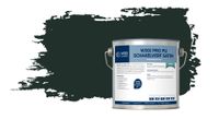 Wixx PRO PU Schakelverf Satin - 2.5L - Grachtengroen | Q0.05.10