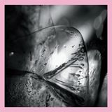 Konkurrent Loscil - Clara (CD)