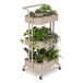 5Five Plantenrek / planten trolley - beige - metaal - 48 x 42 x 87 cm - binnen en buiten