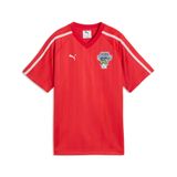 PUMA Functioneel shirt 'T7 Super' donkerblauw / groen / vuurrood / wit