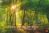 Der Heye Der deutsche Wald - Ein literarischer Spaziergang Kalender 2027
