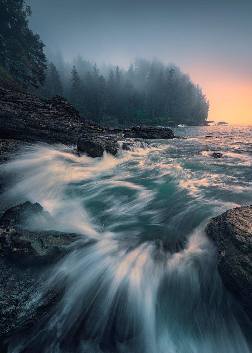 KOMAR Cry of the Sea Vlies Fotobehang 200x280cm 4-banen