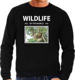 Bellatio Decorations Wildlife of the World Dieren foto sweater Luiaard - zwart - heren - cadeau trui Luiaarden liefhebber L