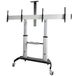 StarTech.com Dual TV Standaard op Wielen voor 37-60in VESA TV's (max 2x 50kg)