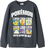 NAME IT - NKMSTUS POKEMON SWEAT BRU SKY - Jongens - Sweaters
