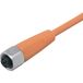 ifm Electronic EVT002 Aansluitkabel M12 Aantal polen (sensoren): 5 Bus, recht 10 m 1 stuk(s)