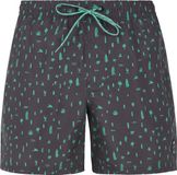 Protest PRTGROM Heren Strandshorts