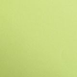 Clairefontaine 97152C Pakket Maya Papier - 25 Vellen Glad Mosgroen Tekenpapier - 50x70 cm 120g