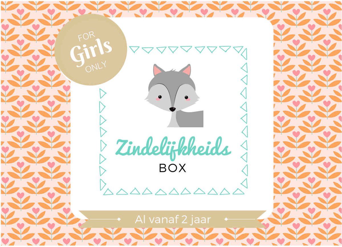 Zindelijkheidsbox - Meisje editie - Zindelijkheidstraining kind - vanaf 2 jaar - incl beloningssysteem - Jouw peuter zelfstandig naar het potje / wc