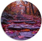 Merkloos / Sans marque Rond schilderij - Bladeren - 60x60 cm - Forex - Wanddecoratie