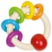 Goki Rammelaar - Regenboog met 5 Ringen