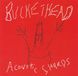 Buckethead Acoustic Shards
