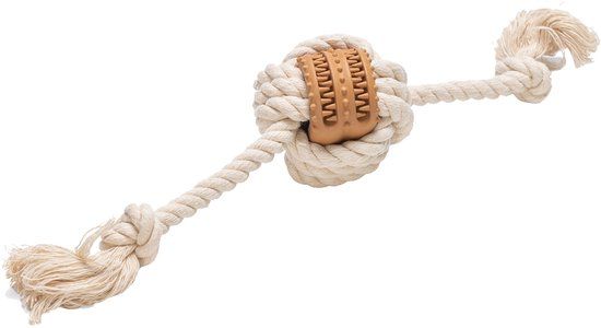Beeztees Puppy Dental Speeltouw Fem - 20 cm