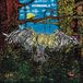Life Cannibale - Life Is Dead (LP)