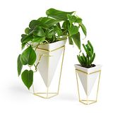 Umbra Trigg potjes, Dolomiet, set van 2, Wit/goud