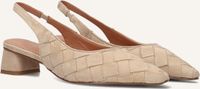 Stefano Lauran Hakken D24062 Beige