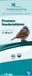 Vogelbescherming nederland Wildbird Vbn Premium Voedertafelmix - Tuinvogelvoer - 1.75 l