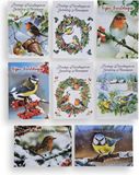 Cards & Crafts 50 Kerst- en Nieuwjaarskaarten met pen - 9,5x14cm - 10 x 5 dubbele kaarten met enveloppen - serie Vogels
