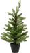 Everlands Allison mini boom d48h75cm grn