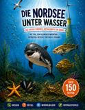 Die Nordsee unter Wasser: Das große Forscher-Mitmachbuch für Kinder: Mit Piko, dem kleinen Schweinswal – Entdecken, Rätseln, Forschen & Staunen