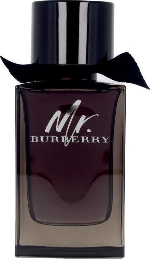 Burberry Mr. Burberry eau de parfum / 150 ml / heren