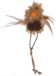 Kerbl Pet Kattenspeelgoed safari wilde vogel, 27 cm