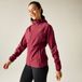 Dare2B Ultralichte Waterdichte Wandeljas met Capuchon voor Dames