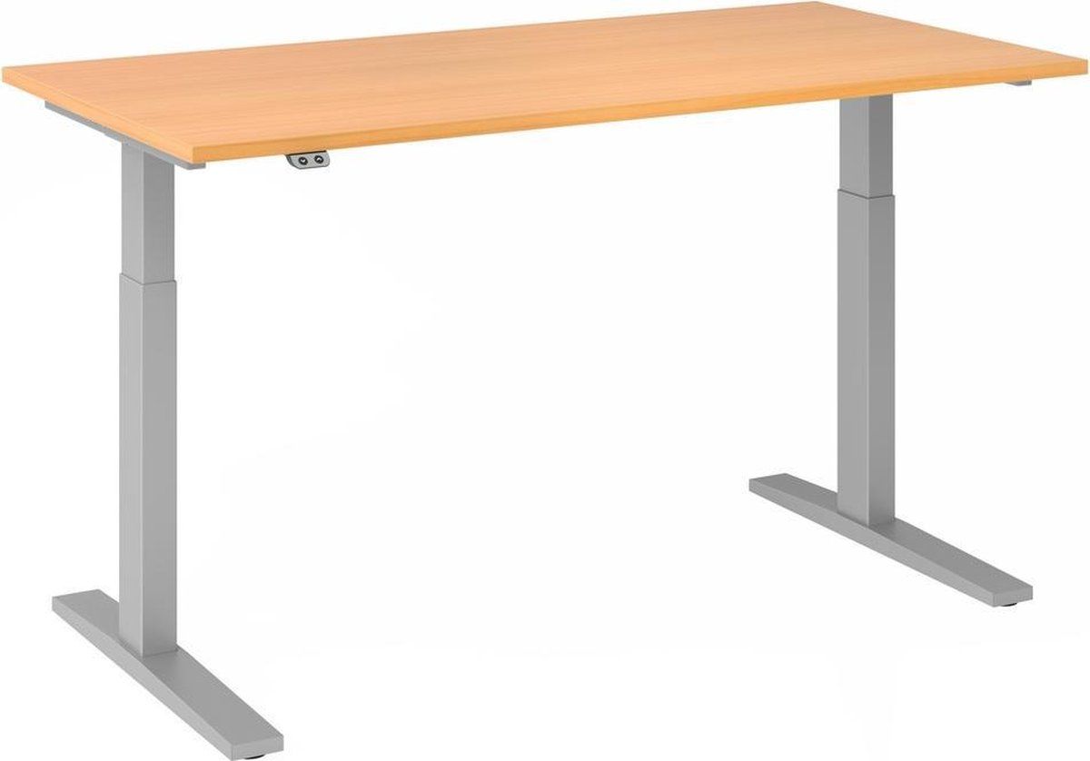 hjh OFFICE PRO Bureau - In Hoogte Verstelbaar - Meerkleurig - Xmka 16 S - 160x80