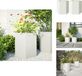 vidaXL Jardinières 2 pièces hexagonales 46x40x45 cm acier blanc