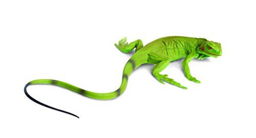 Toob Groene Iguana Baby, Multi