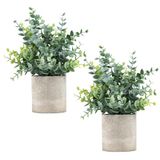 Coferset 2 stuks kunstmatige eucalyptus mini potplanten