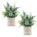 Coferset 2 stuks kunstmatige eucalyptus mini potplanten