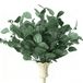 Unyqoos Feuilles d'eucalyptus décoratives