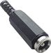 TRU COMPONENTS Laagspannings-connector Bus, recht 3.8 mm 1.1 mm 1 stuk(s)