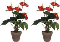 Mica Decorations Kunstplant Anthurium - 2x - rood - 40 cm - grijze pot
