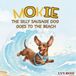 Mokie The Silly Sausage Dog Goes To The Beach