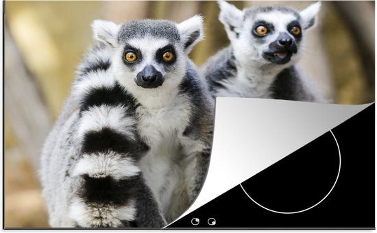 KitchenYeah® Inductie beschermer 77x51 cm - Ringstaartmaki - Inductie beschermer voor kookplaat