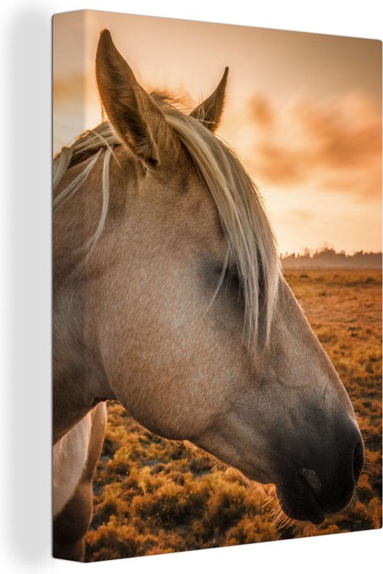 OneMillionCanvasses Canvas schilderij 120x160 cm - Paard - Multicolor - Rechthoek