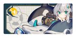 HYTE Tapis de souris XXL "Offshore" Multicolore