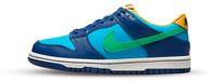 Nike Dunk Low (GS) - Blauw - Sneakers