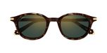 Cartier Ct0584s Lunettes de soleil unisexe Havane Rondes Vert 49mm