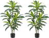 Unyqoos® Plante artificielle Dracaena, 120 cm