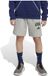 Adidas Seasonals Essentials Collegiate Typography Korte Broek Grijs 15-16 Years Kinderen