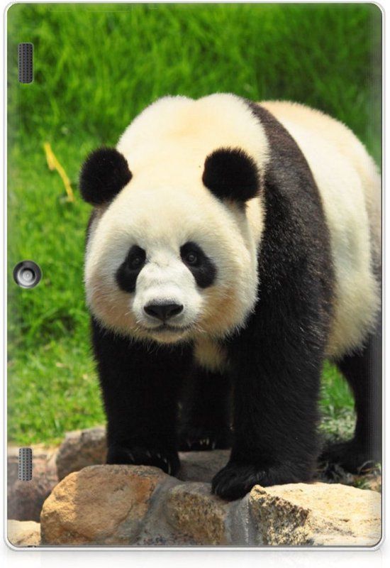Lenovo Tab 10 / Tab 2 A10-30 Tablet Case - Panda - TPU - Back Cover