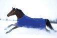 HorseWare Amigo Hero 900 Plus - Atlantic - Taille 145/195/6 6