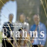 Outhere Pan Classics Brahms: Clarinet Sonatas Op. 120 | Clarinet Trio Op. 114 (CD)